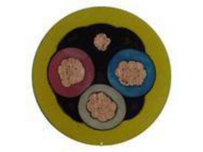 五一橋水電站發(fā)電機(jī)油霧對(duì)轉(zhuǎn)子絕緣的影響及技