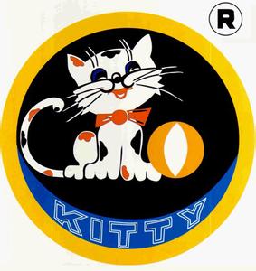 絕緣手套和靴子的使用和存儲方法及注意事項