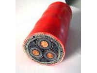 定子繞組絕緣和水輪發(fā)電機(jī)電暈保護(hù)系統(tǒng)的應(yīng)用